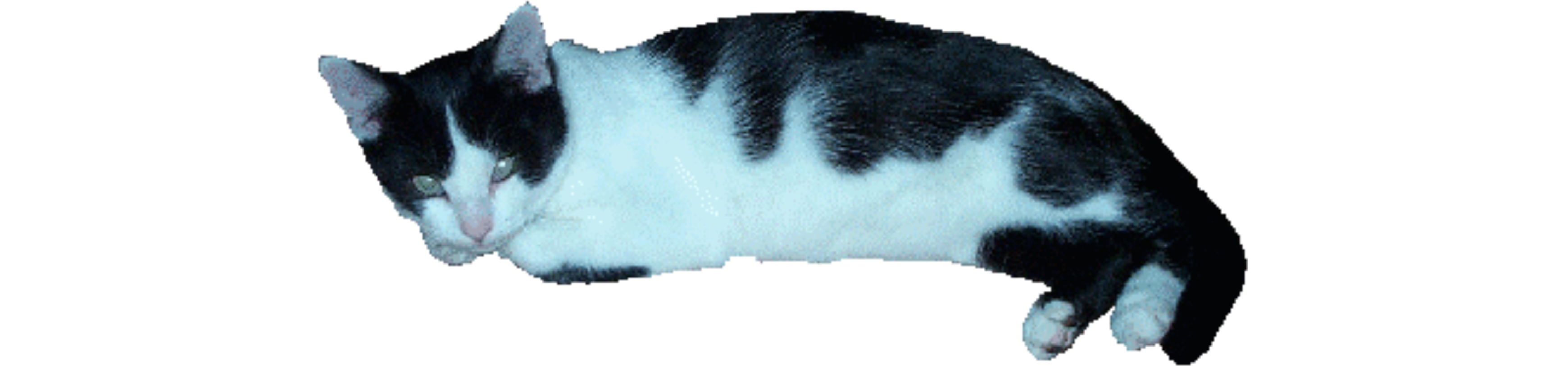 cardcaptor sakura logo